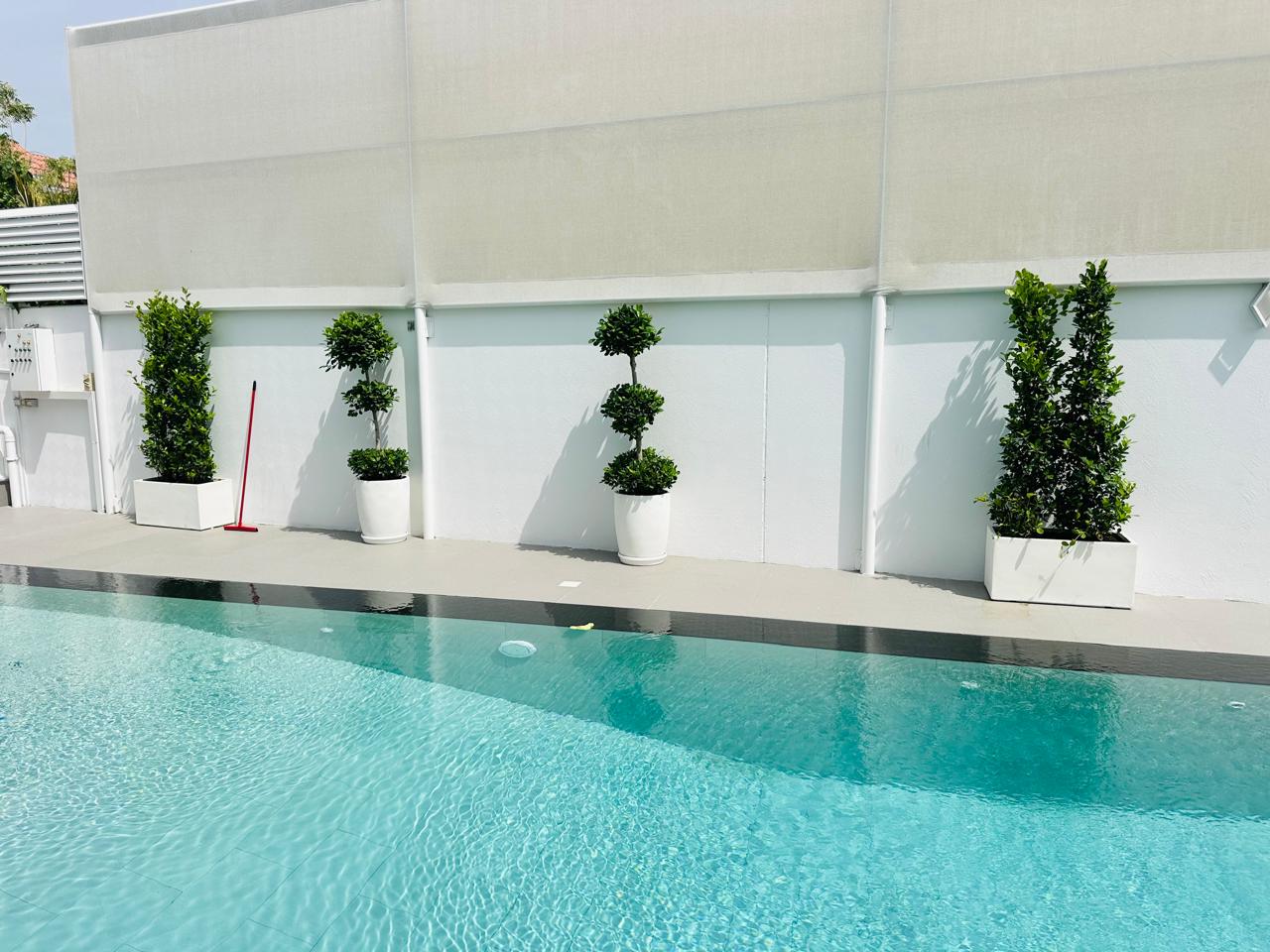 Gallery img 20250912 wa0059