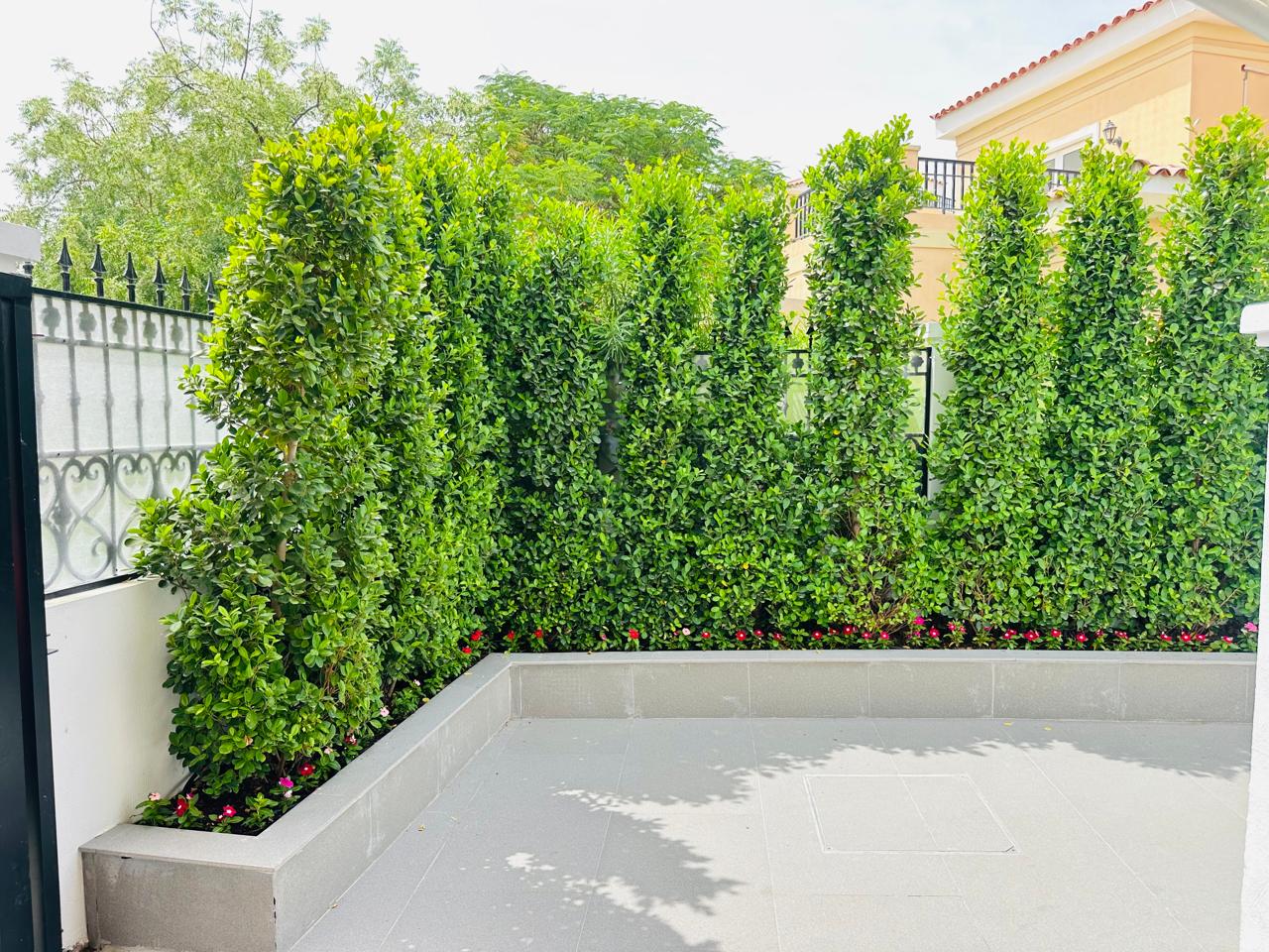 Gallery img 20250912 wa0069